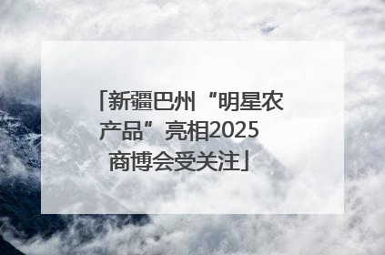 新疆巴州“明星农产品”亮相2025商博会受关注