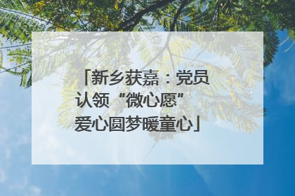 新乡获嘉：党员认领“微心愿” 爱心圆梦暖童心