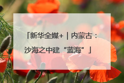 新华全媒+｜内蒙古：沙海之中建“蓝海”