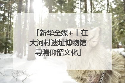 新华全媒+丨在大河村遗址博物馆寻溯仰韶文化