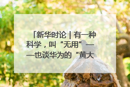 新华时论｜有一种科学，叫“无用”——也谈华为的“黄大年茶思屋”