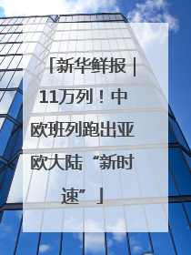 新华鲜报｜11万列！中欧班列跑出亚欧大陆“新时速”