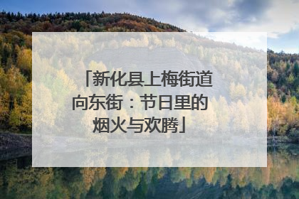 新化县上梅街道向东街：节日里的烟火与欢腾