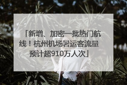 新增、加密一批热门航线！杭州机场暑运客流量预计超910万人次