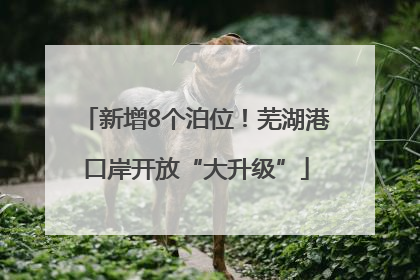 新增8个泊位！芜湖港口岸开放“大升级”
