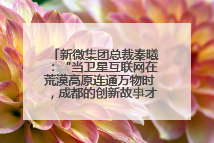 新微集团总裁秦曦：“当卫星互联网在荒漠高原连通万物时，成都的创新故事才真正开始”