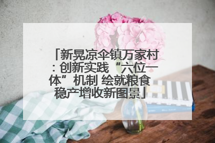 新晃凉伞镇万家村：创新实践“六位一体”机制 绘就粮食稳产增收新图景