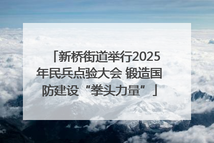 新桥街道举行2025年民兵点验大会 锻造国防建设“拳头力量”