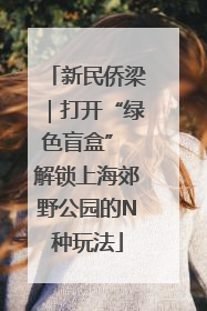新民侨梁｜打开“绿色盲盒” 解锁上海郊野公园的N种玩法