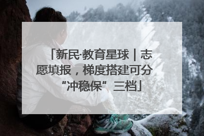 新民·教育星球｜志愿填报，梯度搭建可分“冲稳保”三档