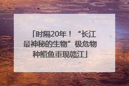 时隔20年！“长江最神秘的生物”极危物种鳤鱼重现赣江