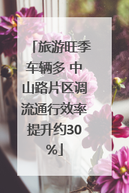 旅游旺季车辆多 中山路片区调流通行效率提升约30%