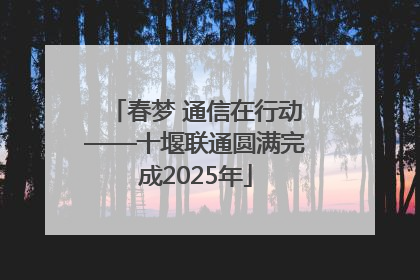 春梦 通信在行动——十堰联通圆满完成2025年