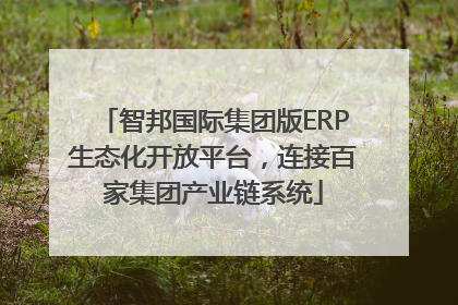 智邦国际集团版ERP生态化开放平台，连接百家集团产业链系统