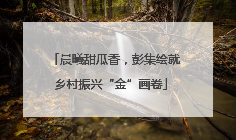晨曦甜瓜香，彭集绘就乡村振兴“金”画卷