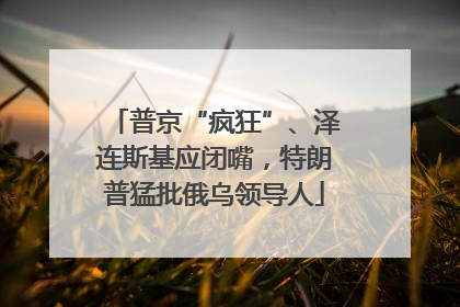 普京“疯狂”、泽连斯基应闭嘴，特朗普猛批俄乌领导人