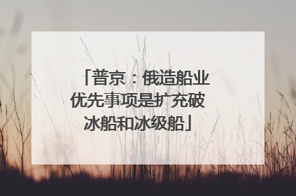 普京：俄造船业优先事项是扩充破冰船和冰级船