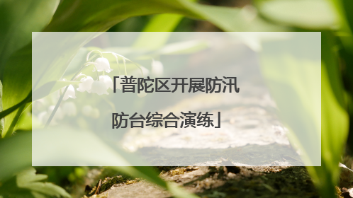 普陀区开展防汛防台综合演练