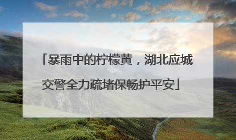 暴雨中的柠檬黄，湖北应城交警全力疏堵保畅护平安
