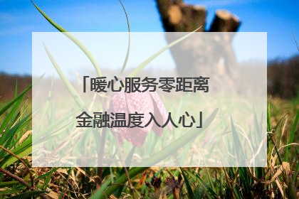 暖心服务零距离 金融温度入人心