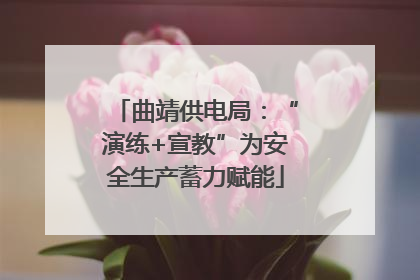 曲靖供电局：“演练+宣教”为安全生产蓄力赋能
