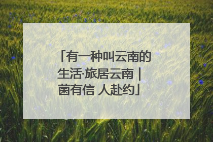 有一种叫云南的生活·旅居云南｜菌有信 人赴约