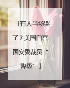 有人当场哭了？美国白宫国安委裁员“降级”