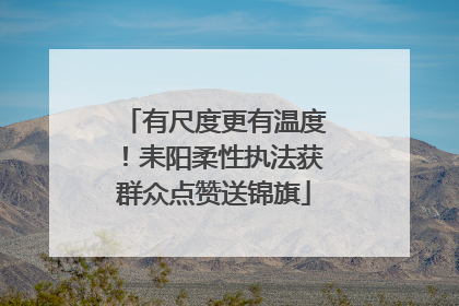 有尺度更有温度！耒阳柔性执法获群众点赞送锦旗