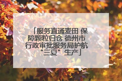 服务直通麦田 保障颗粒归仓 德州市行政审批服务局护航“三夏”生产