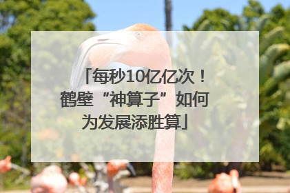 每秒10亿亿次！鹤壁“神算子”如何为发展添胜算