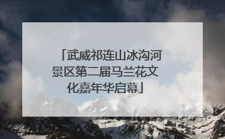 武威祁连山冰沟河景区第二届马兰花文化嘉年华启幕