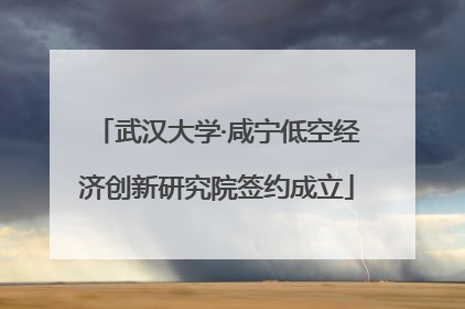 武汉大学·咸宁低空经济创新研究院签约成立