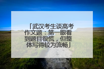 武汉考生谈高考作文题：第一眼看到题目很慌，但整体写得较为流畅