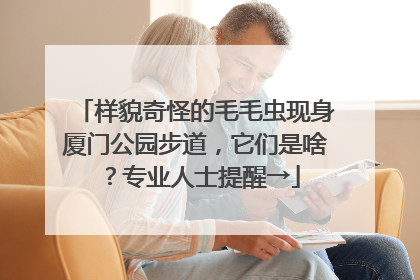 样貌奇怪的毛毛虫现身厦门公园步道，它们是啥？专业人士提醒→