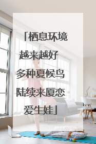 栖息环境越来越好 多种夏候鸟陆续来厦恋爱生娃