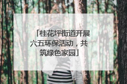 桂花坪街道开展六五环保活动，共筑绿色家园