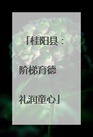 桂阳县：阶梯育德 礼润童心