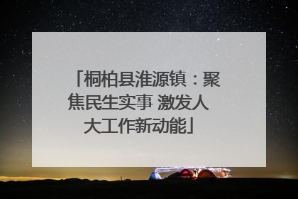 桐柏县淮源镇：聚焦民生实事 激发人大工作新动能