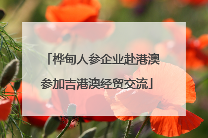 桦甸人参企业赴港澳参加吉港澳经贸交流