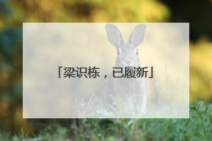 梁识栋，已履新