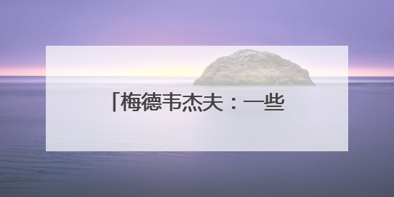 梅德韦杰夫：一些国家已准备好，向伊朗提供自家核弹头