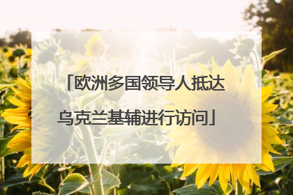 欧洲多国领导人抵达乌克兰基辅进行访问