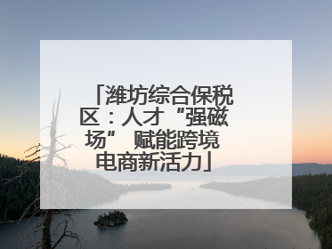 潍坊综合保税区：人才“强磁场” 赋能跨境电商新活力