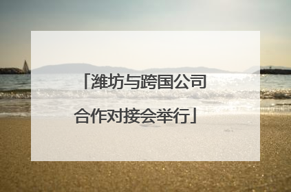 潍坊与跨国公司合作对接会举行
