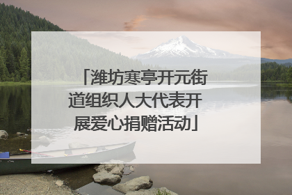 潍坊寒亭开元街道组织人大代表开展爱心捐赠活动