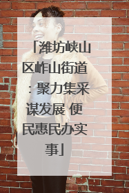 潍坊峡山区岞山街道：聚力集采谋发展 便民惠民办实事