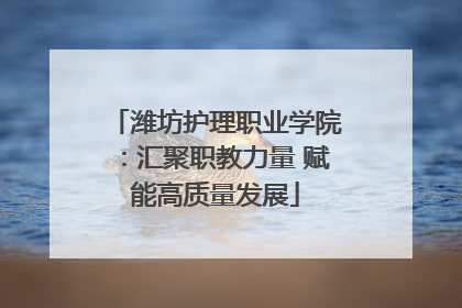 潍坊护理职业学院：汇聚职教力量 赋能高质量发展