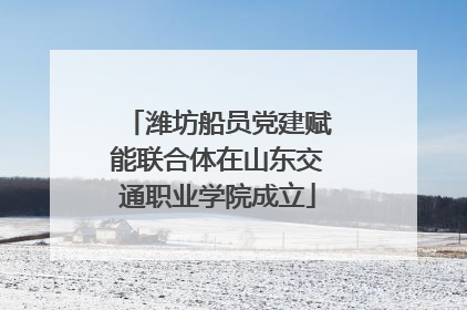 潍坊船员党建赋能联合体在山东交通职业学院成立