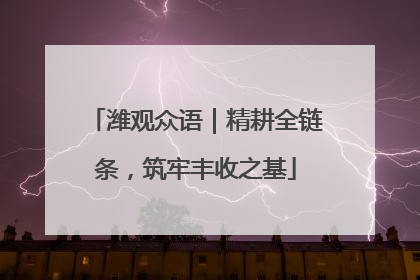 潍观众语｜精耕全链条，筑牢丰收之基