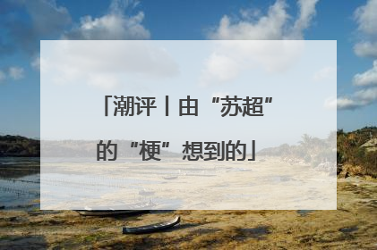 潮评丨由“苏超”的“梗”想到的